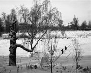 PM67-20140118-017.jpg