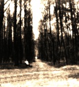 Scan-130528-0002-2.jpg