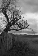 Scan-131122-0002.jpg
