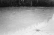 Scan-140108-0029_.jpg