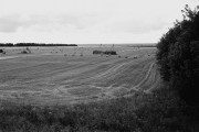 Scan-180903-0022_77_1_1000.jpg