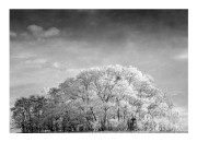 Scan-260517-0008.jpg
