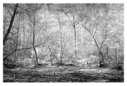 Scan-260517-0012.jpg