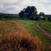 SuperIkonta530-20150705-018.jpg
