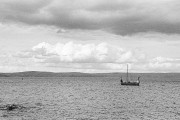 Untitled_1190_.jpg