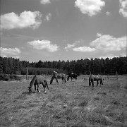 Zeiss2_Trix_HCE_E_2018-07-08_1_012_Web.jpg