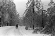 Zima-n3.jpg