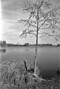 Zork5_J12_I61_2022-02-26-0018_s.jpg Zork5_J12_I61_2022-02-26-0018_s.jpg