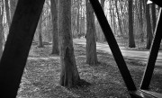 Zork5_J12_I61_2022-02-26-0024_s.jpg Zork5_J12_I61_2022-02-26-0024_s.jpg