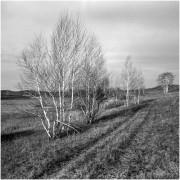 agfa-02-sfx200-800-05.jpg