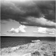 agfa-13-04-rf.jpg