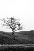 frame9_2.jpg