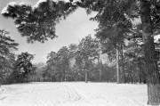 gr1-002-33_2.jpg