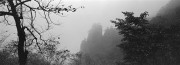 huangshan3.jpg