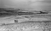 img064-qw.jpg