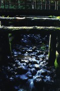 img088-111.jpg img088-111.jpg