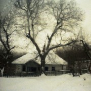 img1503.jpg