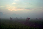 img531.jpg