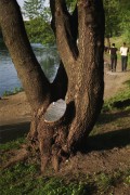 img711.jpg