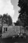 img789-02.jpeg