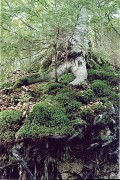 k07.jpg k07.jpg