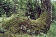 k09.jpg k09.jpg
