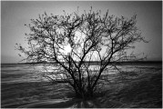 mju-19-034-f-rf.jpg