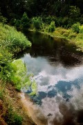 r001-008_.jpg r001-008_.jpg