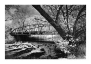 scan00116.jpg
