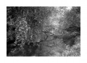 scan001610.jpg