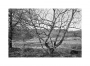scan002013.jpg