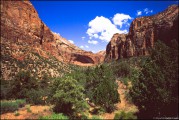 zion-19.jpg