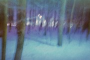 000012_00207_net.jpg 000012_00207_net.jpg