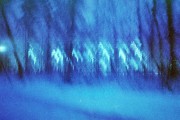 000013_00207_net.jpg 000013_00207_net.jpg