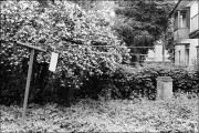 000056_26024_net.jpg 000056_26024_net.jpg