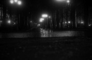 00523.jpg