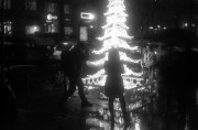01159.jpg