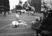 0127-33.jpg