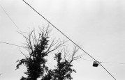 1-Rollei35-20130522-002.jpg