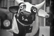 10_00011.jpg