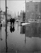 11958.jpg