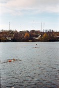 12112211.jpg