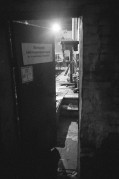 138-000119650026_.jpg