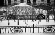 15140033_b_950.jpg