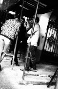 16107.jpg 16107.jpg