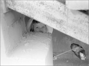 1809_A1535_Foma100_019_preview.jpg