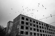 2016-15.jpg