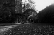 20181021-M7_A125N_Rodinal_1_25_6min_summarit50_VS_N_1_2018-10-21-0018.jpg 20181021-M7_A125N_Rodinal_1_25_6min_summarit50_VS_N_1_2018-10-21-0018.jpg
