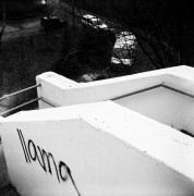 2019-12-08-0004.jpg 2019-12-08-0004.jpg