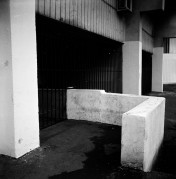 2019-12-08-0009.jpg 2019-12-08-0009.jpg